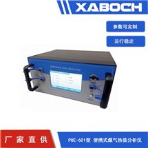 PUE-601煤气热值检测分析仪