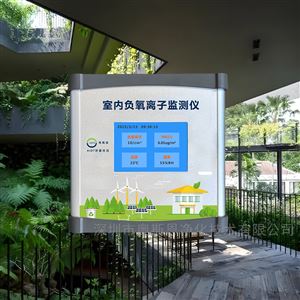 OSEN-FY康養(yǎng)醫(yī)療環(huán)境負(fù)氧離子濃度監(jiān)測儀