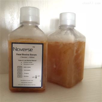 Noverse南美胎牛血清訂購(gòu)大量現(xiàn)貨