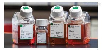 Gibco 16000-044胎牛血清