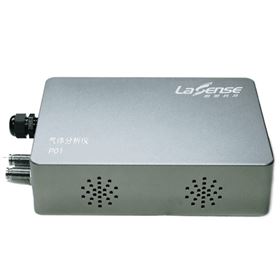 P01 多参数便携式气体分析仪