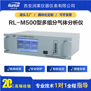 RL-U500型多参数气体分析仪