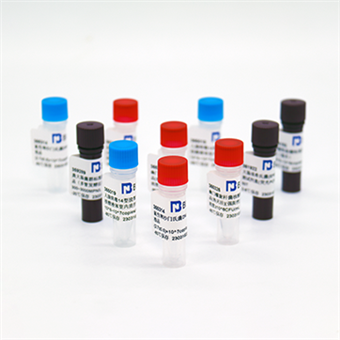 大肠杆菌噬菌体Qbeta核酸参考品（热灭活）（强阳性）