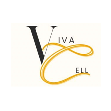 �վ����������������