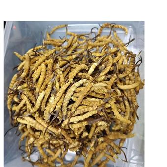 健康营养食品冻干开发服务