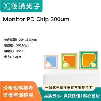 Monitor PD Chip 300um（芯片）