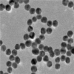 金納米鏈，Au Nanochains