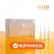 WHB-RES-200200ul電泳加樣吸頭