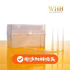 WHB-RES-200200ul電泳加樣吸頭