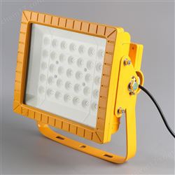 NFC9760-80wLED防爆泛光灯