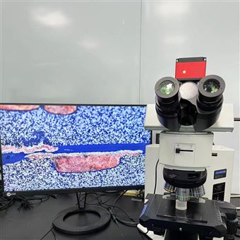 BX53M奥林巴斯olympusBX51M金相分析显微镜镀层
