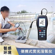 高精度便攜溶氧儀溶解氧測定儀魚塘檢測儀