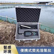 長續(xù)航手持溶氧儀 鋰電池供電野外適用