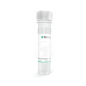 Rabbit Anti-Bovine IL2 Polyclonal Antibody