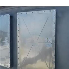 德国Striko SU-R反向作用金属爆破片