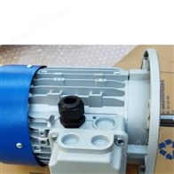 意大利M.T. Motori三相異步電機TN55B