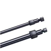 303159赛默飞Dionex IonPac AS30色谱柱4×250mm