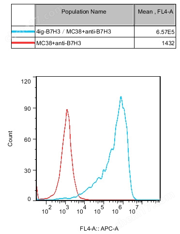 4ig-B7H3(CD276)/MC-38