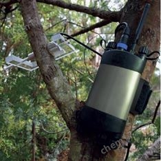 生命科學原位莖干水勢測量儀