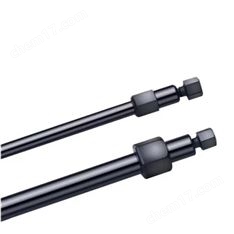 賽默飛Dionex IonPac AS30色譜柱4×250mm