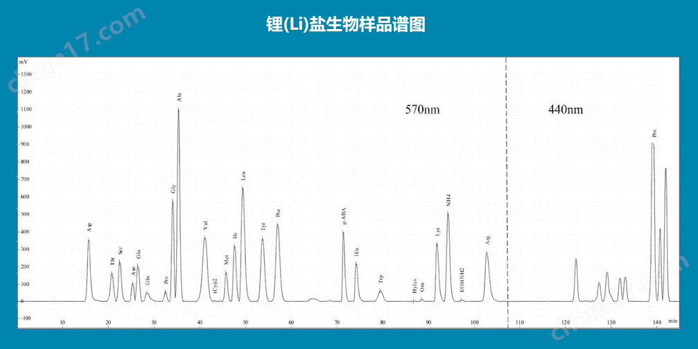 氨基酸分析系統(tǒng)