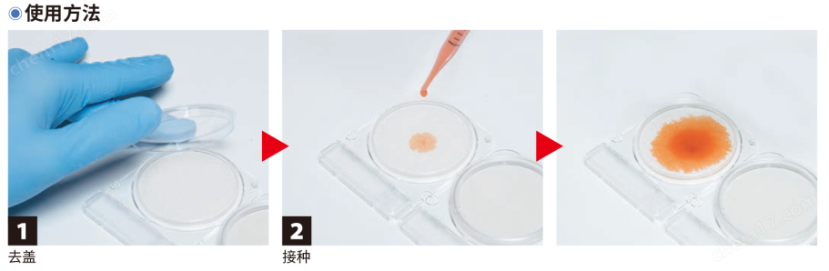微生物快速測試片—大腸埃希氏菌