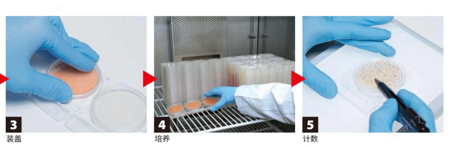 微生物快速測試片—大腸埃希氏菌