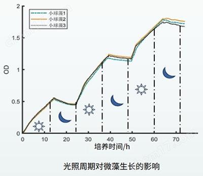 微生物生長曲線分析儀