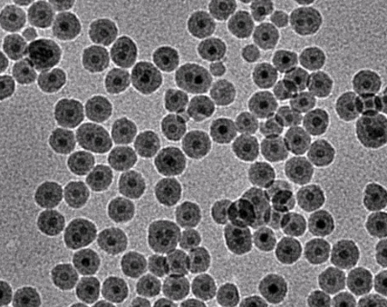 羧基磁性納米顆粒10nm