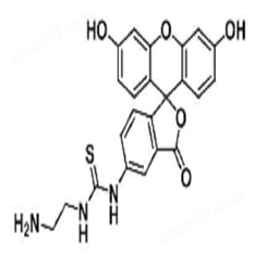 5-FITC-C2-amine,75453-82-6