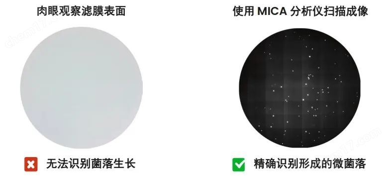 智能光學微菌落計數系統