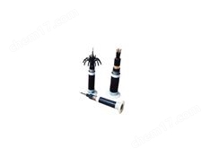 MKVVP礦用控制電纜 MKVVRP電纜