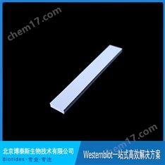biotides博泰斯 防漏制膠墊 白色