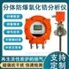 防爆氧化鋯氧量分析儀 鍋爐煙氣氧含量監(jiān)測