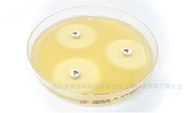 舒洛培南 Sulopenem藥敏紙片