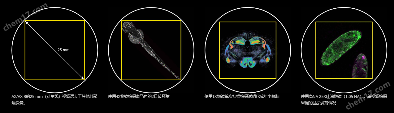 image.png AX/AX R共聚焦顯微鏡