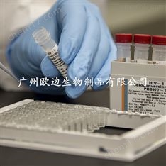 X號染色體計數探針
