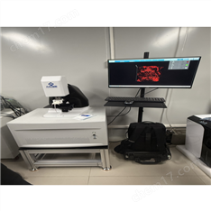 大鼠內窺光聲超聲采集3D成像系統