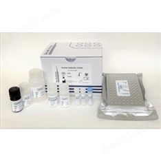 酶聯(lián)免疫試劑盒（ELISA Kit）