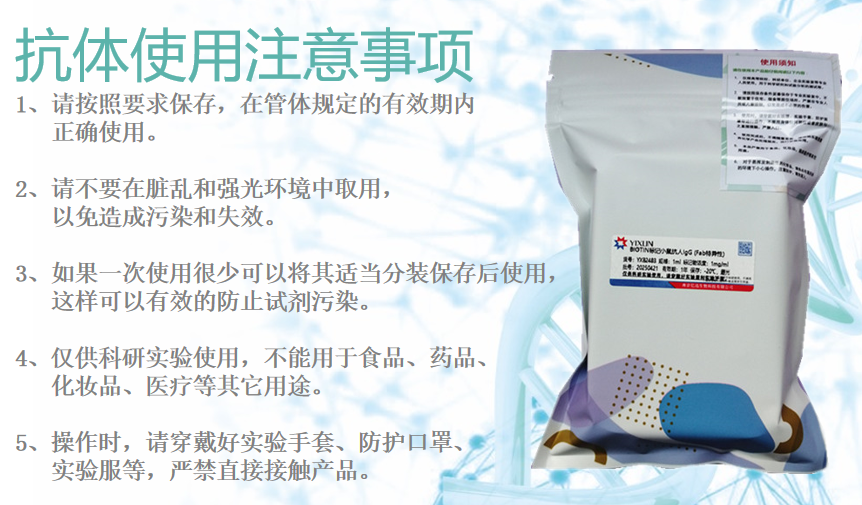 小鼠抗人IgM单克隆抗体 制备方法