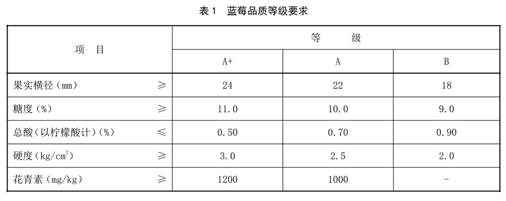 表1.jpg