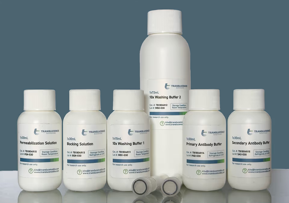 美國Translucence公司Neuroinflammation Tissue Clearing Kit透明化試劑盒