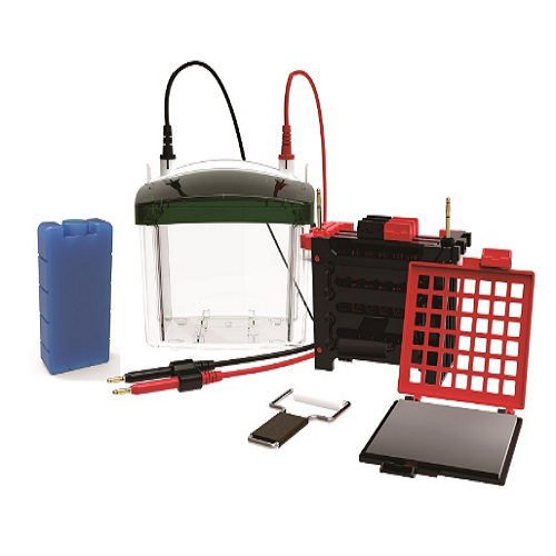 HT-ZY04 四塊膠轉(zhuǎn)印電泳槽.png HT-ZY04 四塊膠轉(zhuǎn)印電泳槽.png