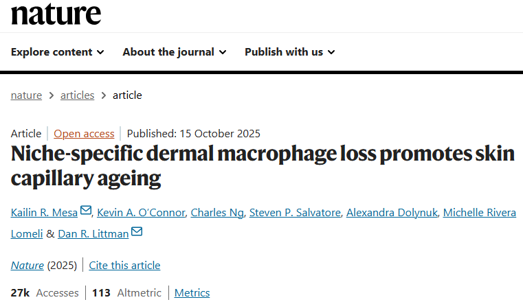 image.png 氯膦酸鹽脂質(zhì)體Clodronateliposomes清除皮膚巨細(xì)胞解決方案文獻(xiàn)參考三