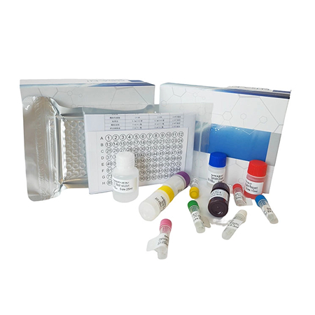 ELISA試劑盒 上海研域生物ELISA試劑盒系配置操作簡便