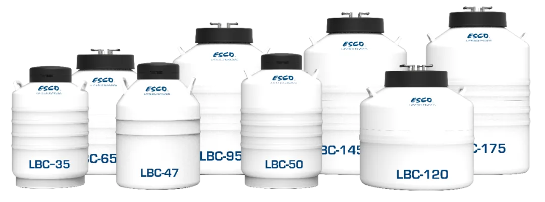 吉林大学实验室的温暖“守护伙伴