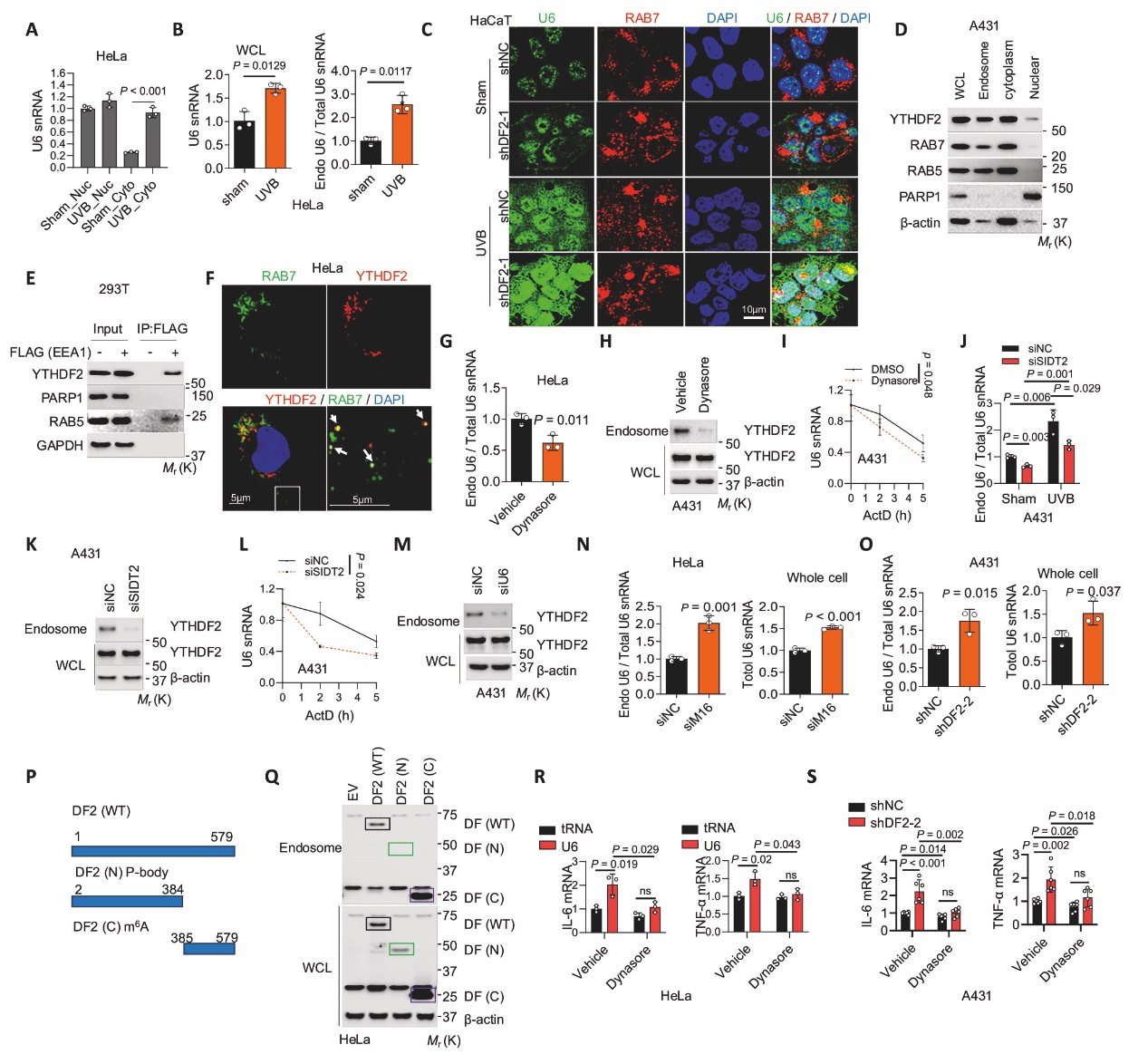 6389897462755387577935452