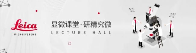 显微课堂 | 如何清晰观测液滴微流控的瞬态过程—高速显微观察系统