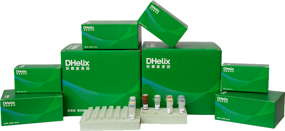 喜报!双螺旋基因荣获2024年度福建省科学技术进步奖