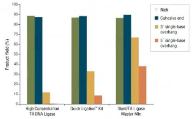NEB DNA連接酶 -重組T4 DNA連接酶、T4快速連接酶、T7 DNA連接酶